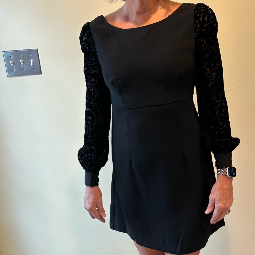 Little Black Dress for Special Occasion
